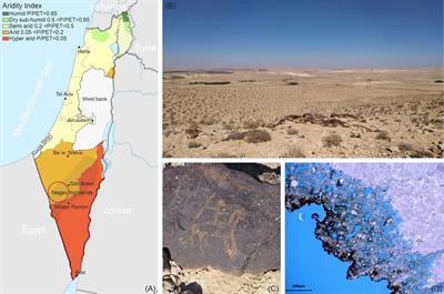 Diversity of fungi associated with petroglyph sites in the Negev Desert, Israel, and their potential role in bioweathering